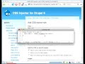 CSS Injector
