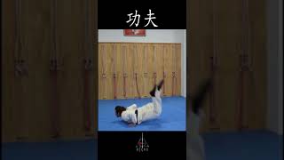 Kung Fu Acrobatics - Shaolin Tai Chi Chang Dsu Yao - Ti Kung Chuan
