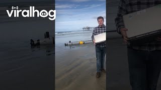 Tech Washes Up On Public Beach || Viralhog