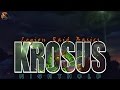 Krosus: Two Minute Tips | Normal/Heroic | Legion Raid Basics