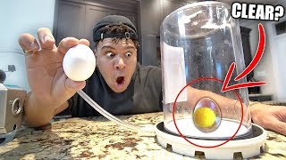 What Happens When You Put an EGG in a Vacuum Chamber? *CRAZY REACTION*