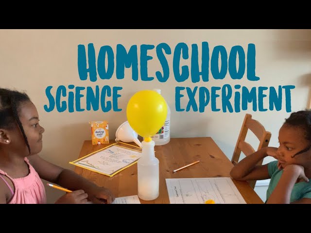 SCIENCE EXPERIMENT IDEA for Homeschool •Chemistry• Science Lesson Idea • Homeschooling to Enjoy Life