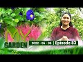 My Garden 05-06-2022