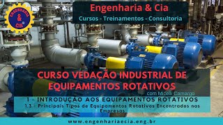 1.3 Principais Tipos de Equipamentos Rotativos Encontrados nas Empresas | VEDAÇÃO IND P/ EQ ROTATIVO