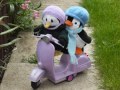 Percy Wett, the knitted penguin, rides his moped.