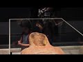 getty mummy video
