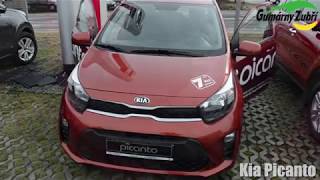 Kia PICANTO 2017 (Tailored Floor Mats fitting video by Gumarny Zubri)