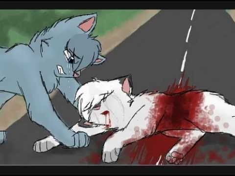 Как нарисовать белогривку из котов воителей Как нарисовать белогривку из котов воителей