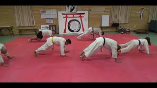 A little dojo fun - Planking Nutbush