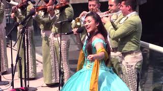 El Mariachi de mi Tierra- Gabriela Sepúlveda y Mariachi Estelar