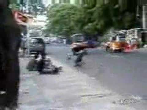 funny monkey videos. Funny video of a monkey riding