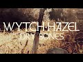 Dry Bones Video preview