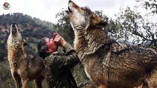 8 NIÑOS que Fueron Criados por ANIMALES (Niños Salvajes) - New Best