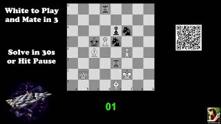 Computer-Generated Chess Problem 03060