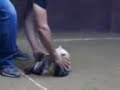 image Sabung Ayam Pake Pisau Youtube
