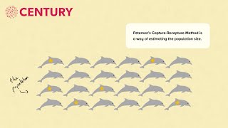 Petersens Capture-Recapture Mathematics