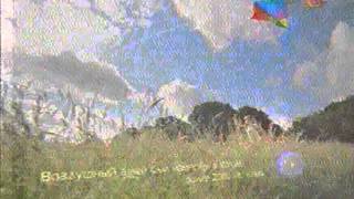 Changing Of Russia Channel Rtr To Bibigon 6.11.2007