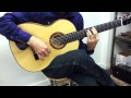 Granaina guitar #42