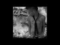 PJ Rossi-The Affected