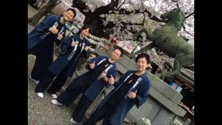 2016 04 03 和太鼓otogi 鹽竈神社 桜祭り 奉納演奏ダイジェスト 2016 04 03 和太鼓otogi 鹽竈神社 桜祭り 奉納演奏ダイジェスト