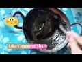 Natural Hair Dye | Indigo Henna Hair Dye for Gray/Grey Hair | Ayurvedic Flaxseed Gel | Rot Touch Up