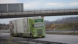 Ronald Eekhof Blomstergrossist - Scania R500