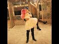 Recopilacion de Videos y fotos de Adam y Vero