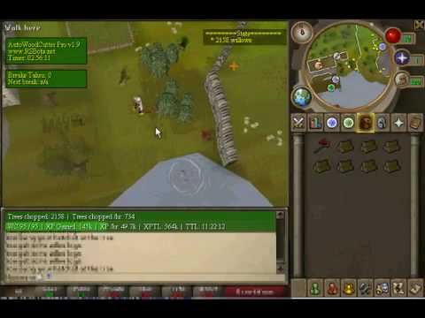 july 2010 free working runescape bot download for all skills rsbot how to get runescape bots. *NEW* RuneScape BOT 100%
