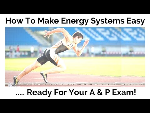 How To Make Energy Systems Easy - Ready for your A &amp; P Exam