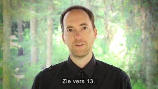 Inzegening van de vrouw en de rebellie van Korach - Mike McCaffrey