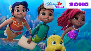 Disney Jr.s Ariel Wonders Of The Sea Song The Little Mermaid