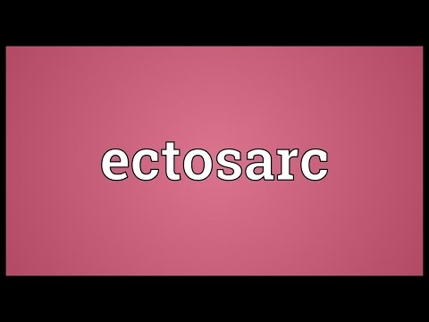 Header of ectosarc