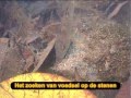 Reis 2 Videodagboek Deel 21 ( In het stroom gebied van de Rio Honda ).avi