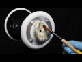 Asmr 3dio Ear Peeling Brushing Cleaning Latex Gloves What Has Asmr 3dio Ear Peeling Brushing Cleaning Latex Gloves What Has