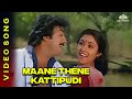 Maane Thene | மானே தேனே | Udaya Geetham Movie Songs | SPB | Revathi | Mohan #ilaiyaraajahitsongs