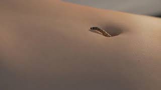 Navel Play