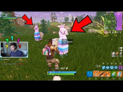 LUCKIEST FORTNITE ROUND IVE EVER PLAYED..*2 LLAMAS* | Fortnite Battle Royale Gameplay