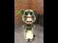 kucing bertadwir