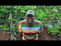 Nyanda Manyilezu Song Mama wa kambo Official Video 2022