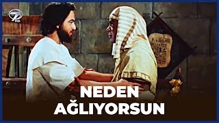 Dostları Hz Yusuf'u Zindanda Yalnız Bırakmıyor! - Hz Yusuf 19. Bölüm