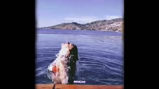 Ertugrul Actress Burcu Kiratlis New Swimming Video Goes Viral