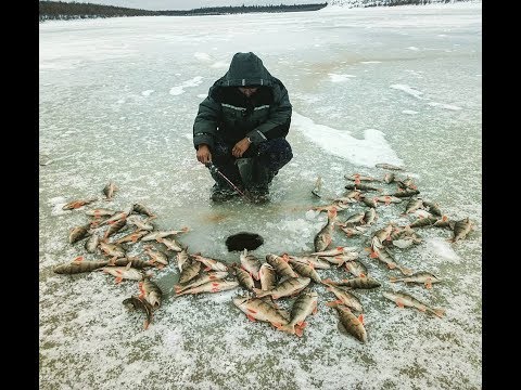 рыбалка на дянышке в якутии рыбалка на дянышке в якутии