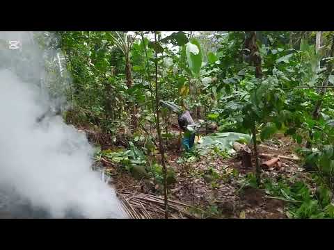 Bertualang makan dikebun  pemadam kelaparan jadi hilang