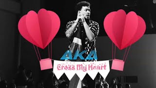 Aka-Cross My Heart Lyrics Video