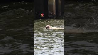 Daring Bridge Jump Into Miami River