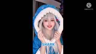 Kumpulan Tiktok Kameaam Likee Dan Instagram