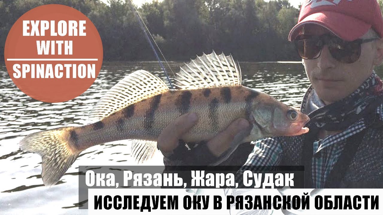 где ловить судака в ноябре где ловить судака в ноябре