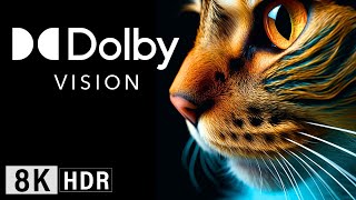 Best Places Ever In Dolby Vision 8K Hdr (120Fps)! Self Composed Music.