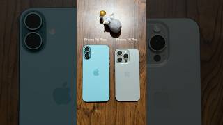Iphone 16 Plus Vs Iphone 16 Pro