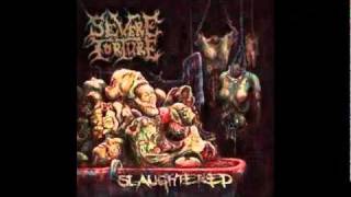 Watch Severe Torture Feeding On Cadavers video